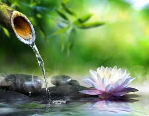 Mindfulness for Peace Meditation @ Sage Center, Suite 555