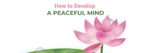 MEC-How-to-Develop-a-Peaceful-Mind-mec-thumb-1026-362