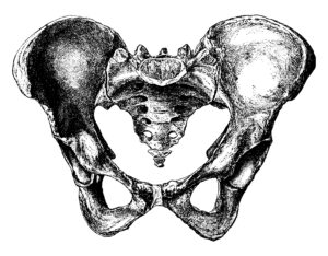 Women's Pelvic workshop Beaverton OR