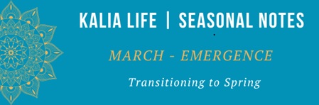 6-Week Spring Cohort 🌱 Spring With Kalia Life @ Sage Center Group Room